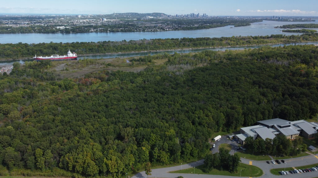 Community land